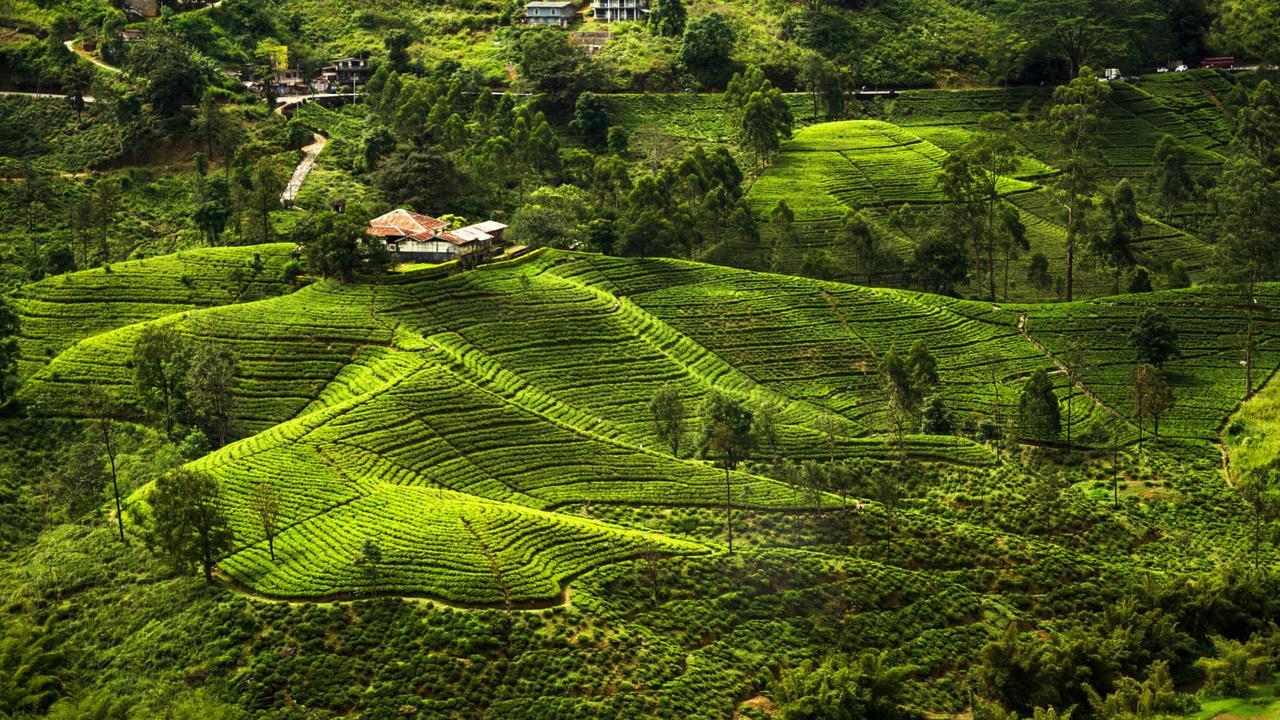 Kirula Green Hotel Nuwara Eliya Exteriör bild